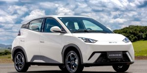 BYD Dolphin Mini (100% elétrico)