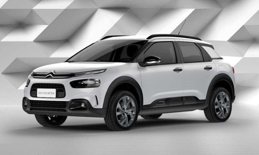 c4 cactus