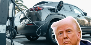 carros eletricos trump