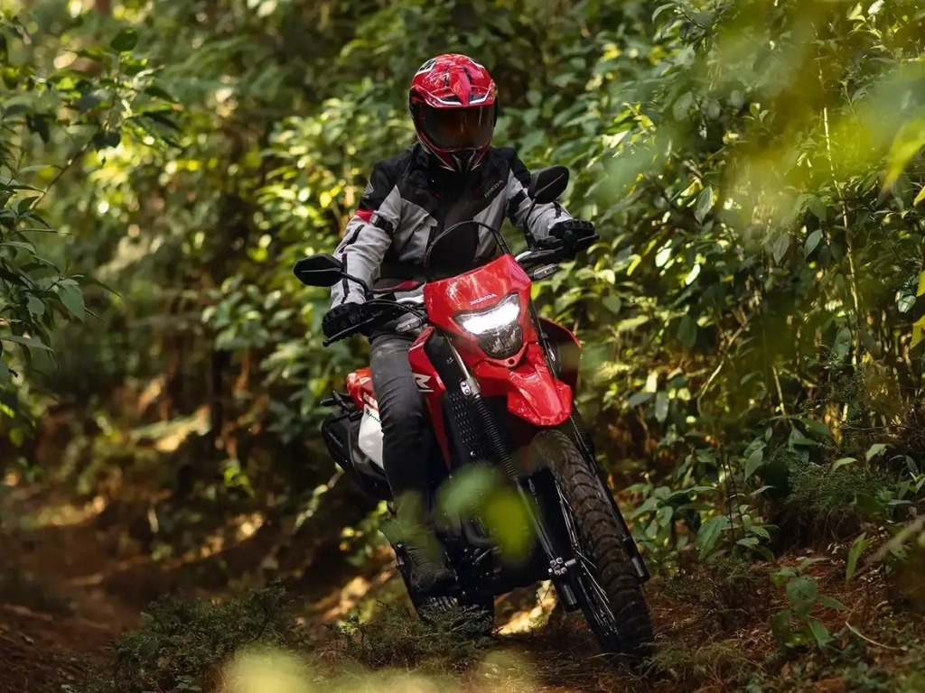 Honda XR 300L Tornado 2025