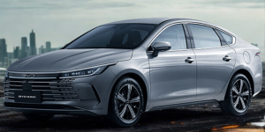 BYD King