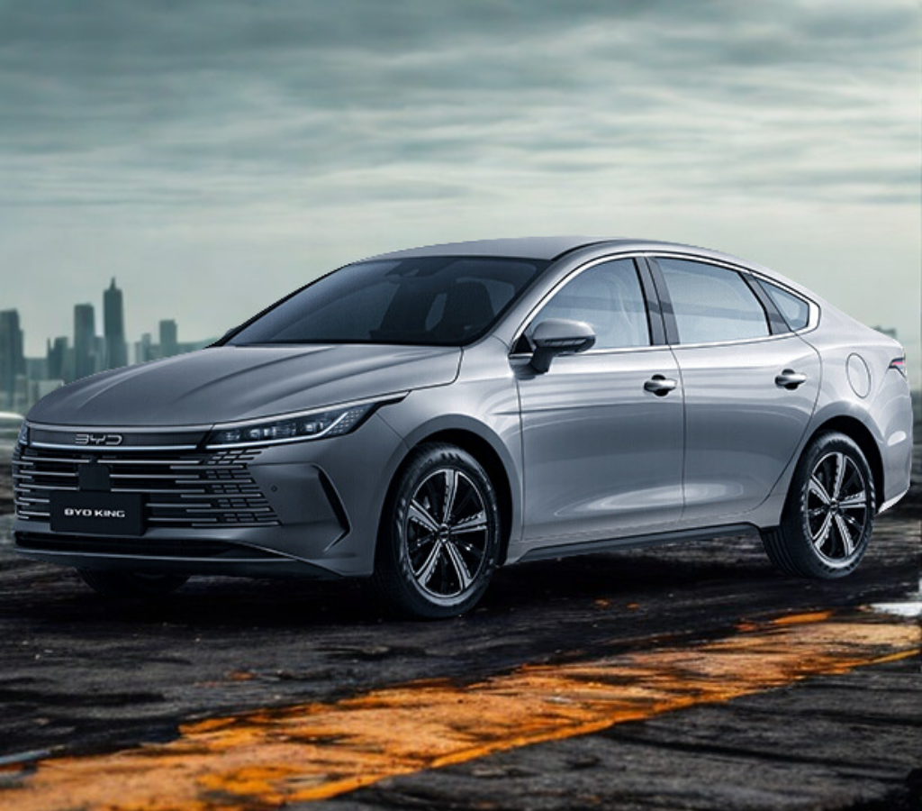 BYD King