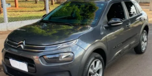 C4 Cactus