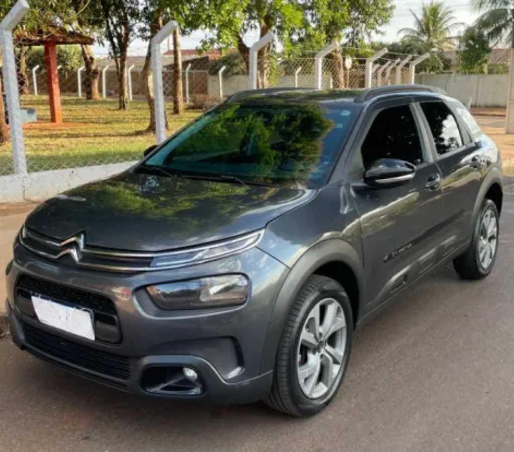 C4 Cactus